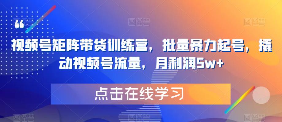 视频号矩阵带货训练营，批量暴力起号，撬动视频号流量，月利润5w+-学习笔记资源库