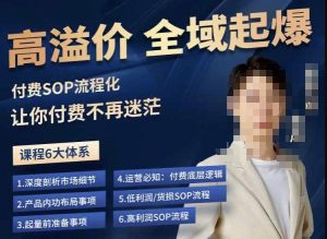 逸风-拼多多高溢价全域起爆,6大课程体系,付费玩法全套实操-学习笔记资源库