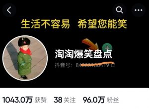 价值1000的搞笑盘点大V淘淘爆笑盘点详细课程+软件,中视频变现-学习笔记资源库