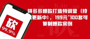 拼多多爆款打造特训营(持续更新中),199元*100套可复制爆款案例-学习笔记资源库