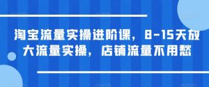 淘宝流量实操进阶课，8-15天放大流量实操，店铺流量不用愁-学习笔记资源库