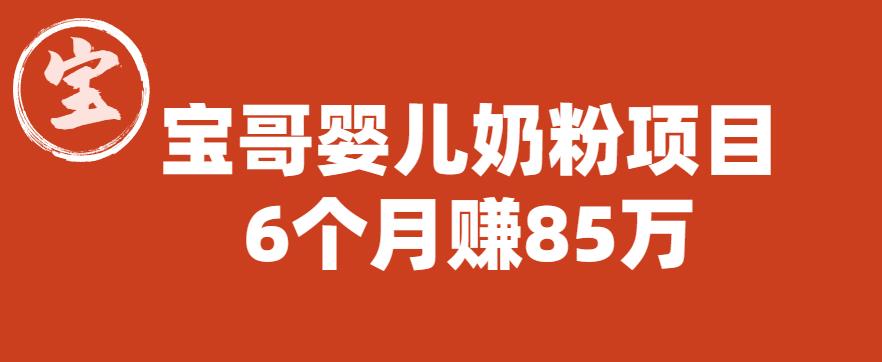 宝哥婴儿奶粉项目，6个月赚85w【图文非视频】【揭秘】-学习笔记资源库
