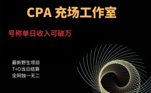 cpa充场工作室,号称单日收入10000+(揭秘)-学习笔记资源库