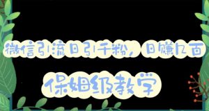 微信互推圈半自动引流方案,矩阵操作日引千人思路【详细视频教程】-学习笔记资源库