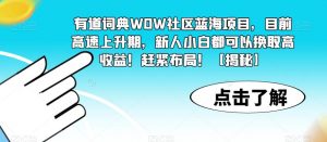 有道词典WOW社区蓝海项目,目前高速上升期,新人小白都可以换取高收益!赶紧布局!【揭秘】-学习笔记资源库