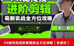 PR进阶剪辑培训班，让你快速成为剪辑大师12节视频课程+素材！-学习笔记资源库