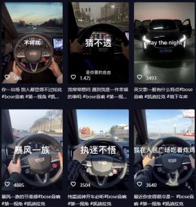 抖音开车视频项目,0基础操作,每天五分钟,月入1W+【揭秘】-学习笔记资源库