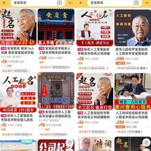 拆解小红书宝宝起名虚拟副业项目,一条龙实操玩法分享给你(教程+软件)-学习笔记资源库