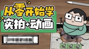 从零开始学实拍加动画，实拍加动画创意教程-学习笔记资源库