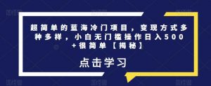 超简单的蓝海冷门项目,变现方式多种多样,小白无门槛操作日入500+很简单【揭秘】-学习笔记资源库