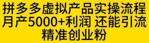 拼多多虚拟产品实操流程，月产5000+利润，还能引流精准创业粉【揭秘】-学习笔记资源库