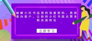 破解小红书运营的流量密码,揽获意向客户,让你的小红书高点赞多粉丝高转化-学习笔记资源库