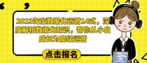 2023淘宝数据化运营14式,深度解析数据化知识,帮你从小白成长为高级运营-学习笔记资源库