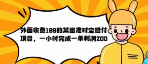 外面收费188的美团准时宝赔付项目,一小时完成一单利润200【仅揭秘】-学习笔记资源库
