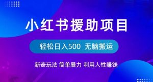 小红书援助项目新奇玩法,简单暴力,无脑搬运轻松日入500【揭秘】-学习笔记资源库