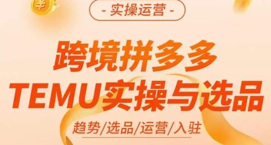 伍跃·跨境拼多多TEMU实操与选品，​趋势/选品/运营/入住（27节完整）-学习笔记资源库