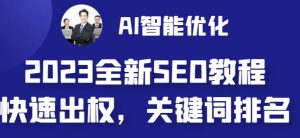 2023最新网站AI智能优化SEO教程,简单快速出权重,AI自动写文章+AI绘画配图-学习笔记资源库