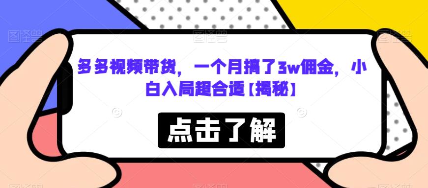 多多视频带货，一个月搞了3w佣金，小白入局超合适【揭秘】-学习笔记资源库