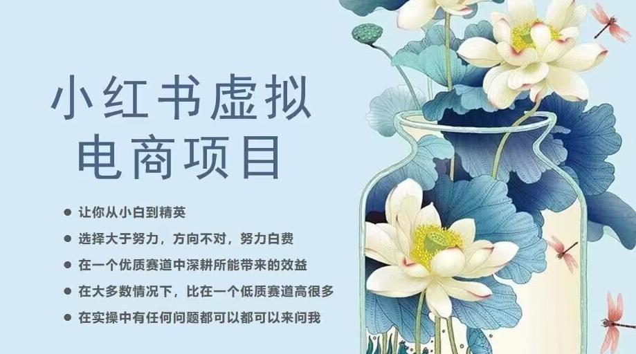 小红书虚拟电商从0到1，让你从小白到精英（20节实操课程）-学习笔记资源库