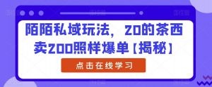 陌陌私域玩法,20的茶西卖200照样爆单【揭秘】-学习笔记资源库