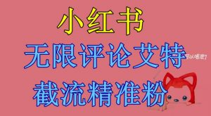小红书无限评论艾特截流精准粉（软件+教程）-学习笔记资源库