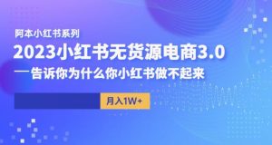 阿本小红书无货源电商3.0，告诉你为什么你小红书做不起来-学习笔记资源库
