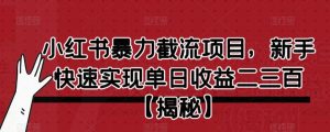 小红书暴力截流项目，新手快速实现单日收益二三百【仅揭秘】-学习笔记资源库