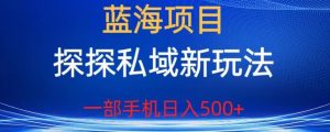 蓝海项目,探探私域新玩法,一部手机日入500+很轻松【揭秘】-学习笔记资源库