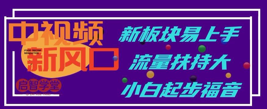 中视频新风口，新板块易上手，流量扶持大，小白起步福音【揭秘】-学习笔记资源库