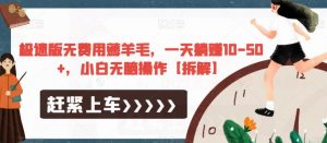 极速版无费用薅羊毛，一天躺赚10-50+，小白无脑操作【拆解】-学习笔记资源库