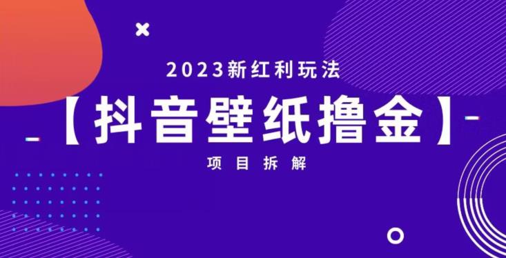抖音壁纸小程序创作者撸金项目，2023新红利玩法【项目拆解】-学习笔记资源库