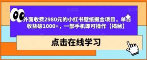 外面收费2980元的小红书壁纸掘金项目，单日收益破1000+，一部手机即可操作【揭秘】-学习笔记资源库