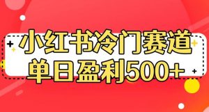 小红书冷门赛道,单日盈利500+【揭秘】-学习笔记资源库