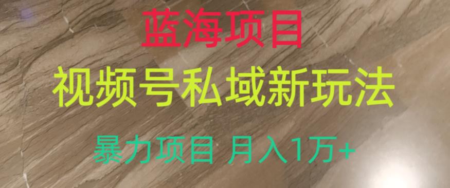 蓝海项目，视频号私域新玩法，暴力项目月入1万+【揭秘】-学习笔记资源库