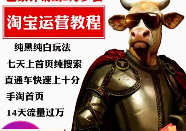 猫老师·淘系算法逆向解密，​纯黑纯白玩法，七天上首页纯搜索，手淘首页14天流量过万-学习笔记资源库