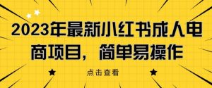 2023年最新小红书成人电商项目,简单易操作【详细教程】【揭秘】-学习笔记资源库