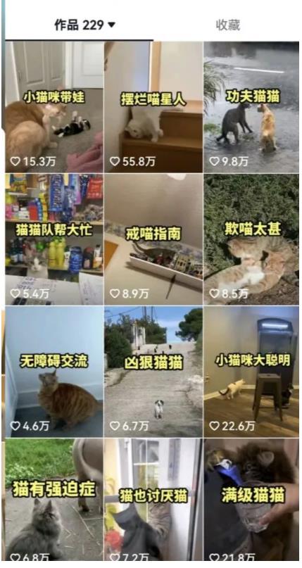 拆解：抖音盘点类中视频变现副业项目，视频版一条龙大解析分享给你-学习笔记资源库