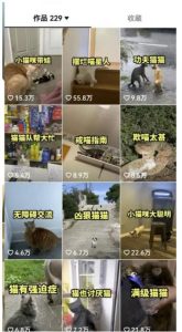 拆解抖音盘点类中视频变现副业项目，视频版一条龙大解析分享给你【视频课程】-学习笔记资源库