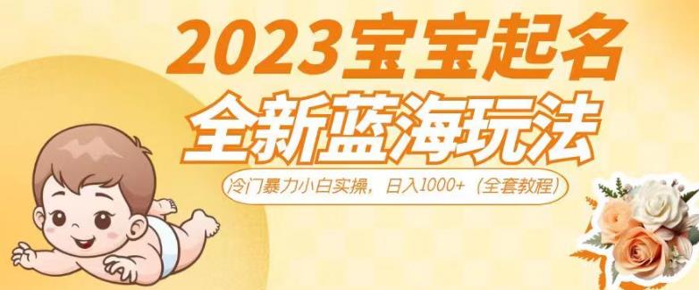2023宝宝起名全新蓝海玩法，冷门暴力小白实操，日入1000+（全套教程）【揭秘】-学习笔记资源库