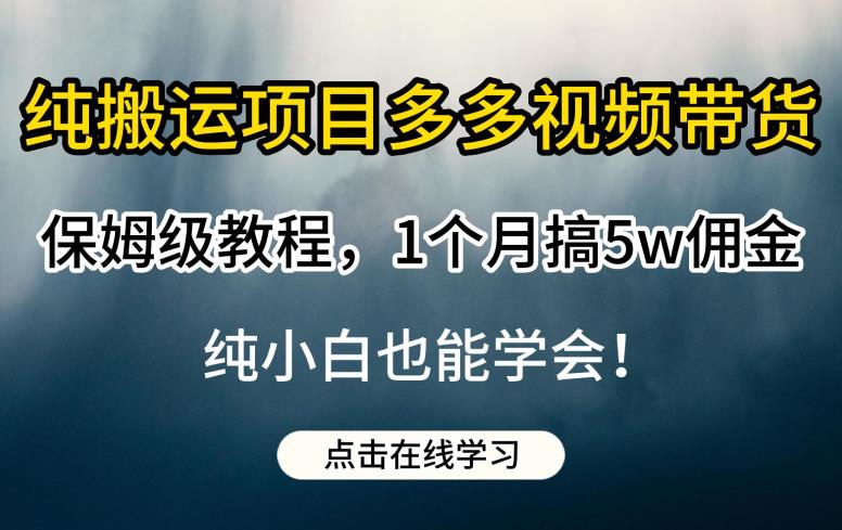 纯搬运项目多多视频带货保姆级教程，1个月搞5w佣金，纯小白也能学会【揭秘】-学习笔记资源库