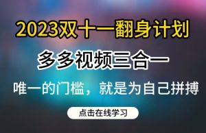2023双十一翻身计划，多多视频带货三合一玩法教程【揭秘】-学习笔记资源库