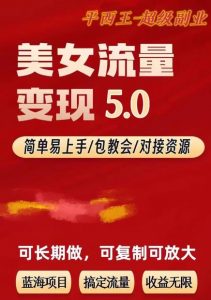 TK美女短视频变现项目无限复制（升级版），全网最高性价比项目【揭秘】-学习笔记资源库