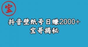 宝哥抖音壁纸号日赚2000+,不需要真人露脸就能操作【揭秘】-学习笔记资源库