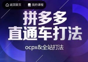 互力·拼多多直通车打法，ocpx&全站打法-学习笔记资源库