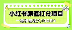 最新蓝海项目,小红书颜值打分项目,一条作品收入1000+【揭秘】-学习笔记资源库