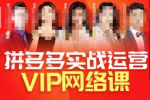 推易拼多多VIP全套直播课程,拼多多店铺实操玩法+实战玩法选款内功+直通车高阶等-学习笔记资源库