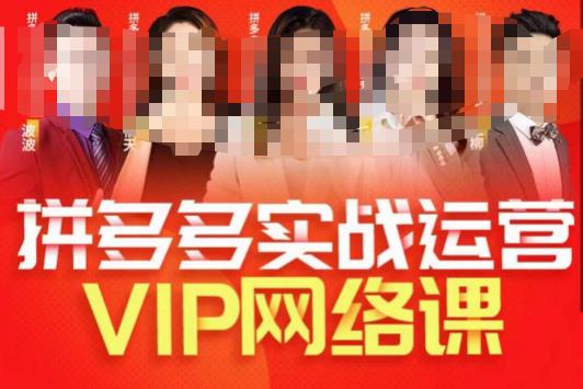 推易拼多多VIP全套直播课程，拼多多店铺实操玩法+实战玩法选款内功+直通车高阶等-学习笔记资源库