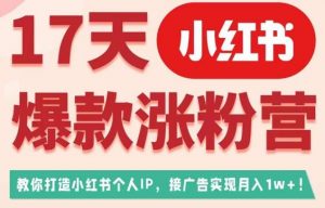 17天小红书爆款涨粉营（广告变现方向），教你打造小红书博主IP、接广告变现的-学习笔记资源库