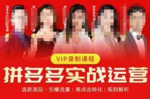 2023推易拼多多实战运营，选款测品、引爆流量、高点击转化、规则解析-学习笔记资源库