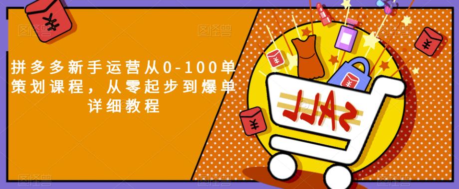 拼多多新手运营从0-100单策划课程，从零起步到爆单详细教程-学习笔记资源库